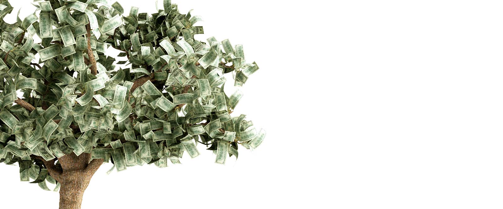 tree made of dollar bills